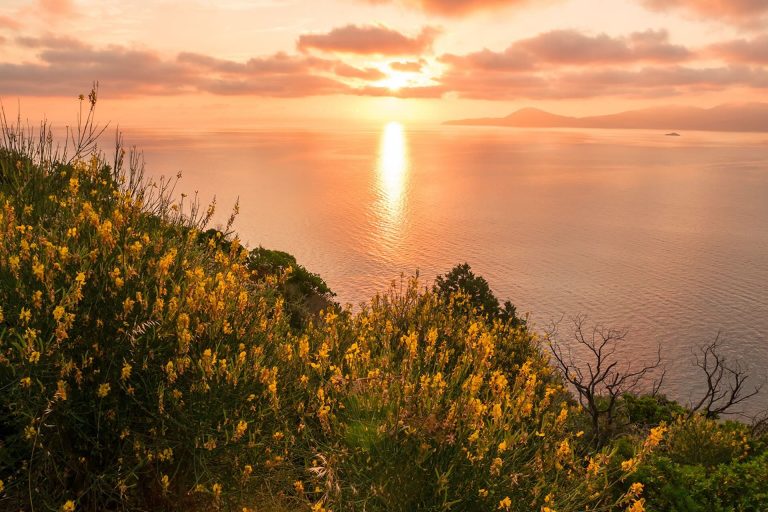 Tramonto sul mare all’Enfola con vegetazione mediterranea e luce dorata sull’acqua