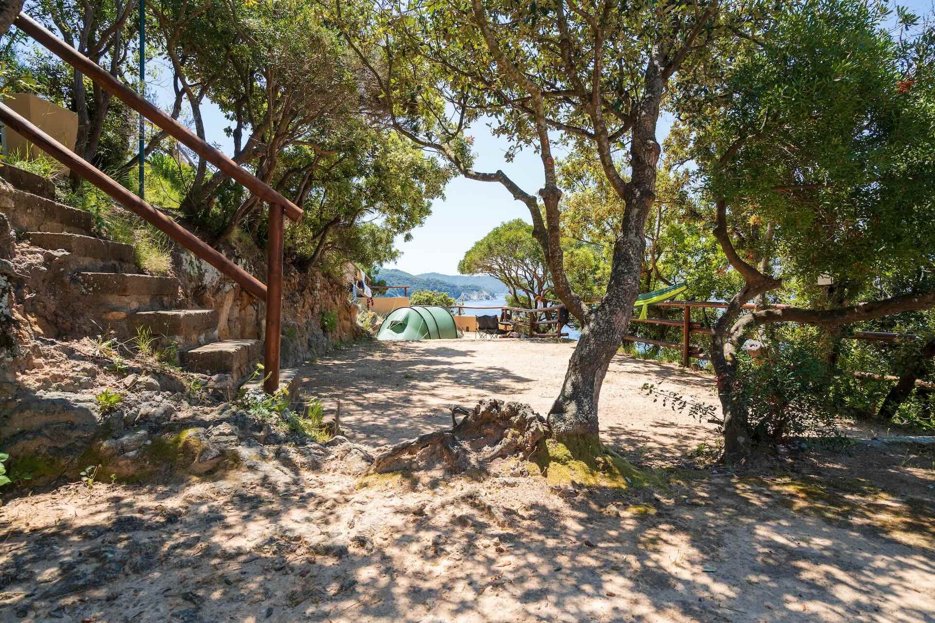 Area tende ombreggiata immersa nella macchia mediterranea del Camping Enfola